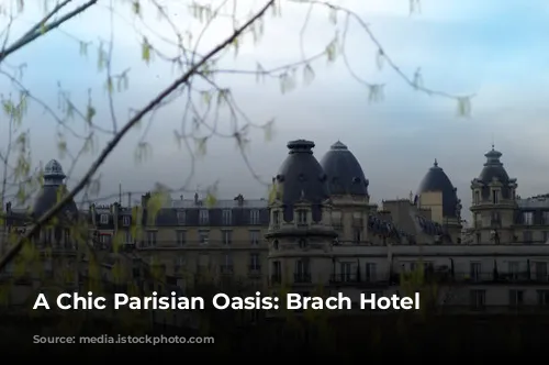 A Chic Parisian Oasis: Brach Hotel