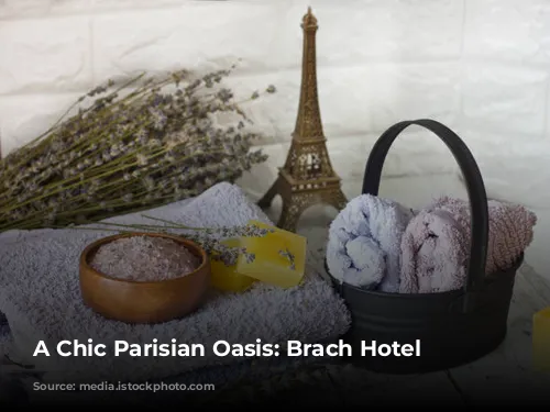 A Chic Parisian Oasis: Brach Hotel