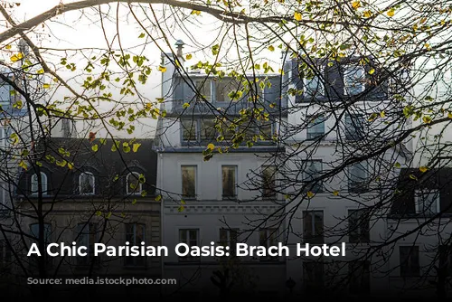 A Chic Parisian Oasis: Brach Hotel