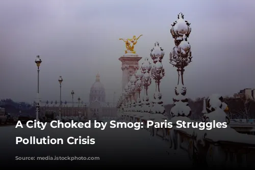 A City Choked by Smog: Paris Struggles with Pollution Crisis