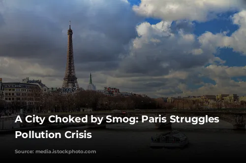 A City Choked by Smog: Paris Struggles with Pollution Crisis