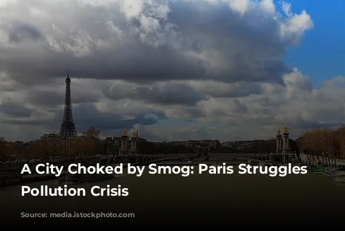 A City Choked by Smog: Paris Struggles with Pollution Crisis