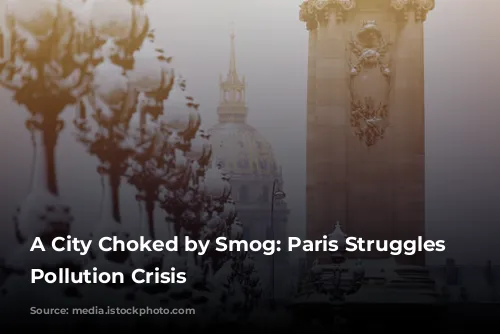 A City Choked by Smog: Paris Struggles with Pollution Crisis