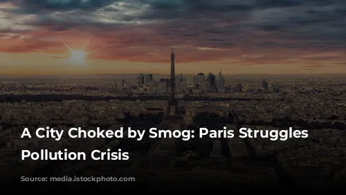 A City Choked by Smog: Paris Struggles with Pollution Crisis