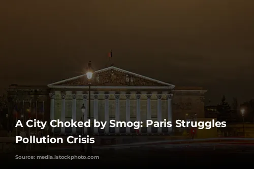 A City Choked by Smog: Paris Struggles with Pollution Crisis