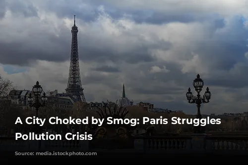 A City Choked by Smog: Paris Struggles with Pollution Crisis