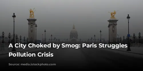 A City Choked by Smog: Paris Struggles with Pollution Crisis