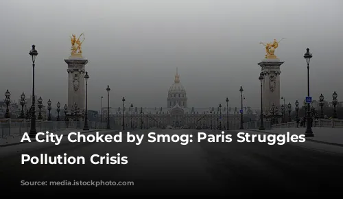 A City Choked by Smog: Paris Struggles with Pollution Crisis