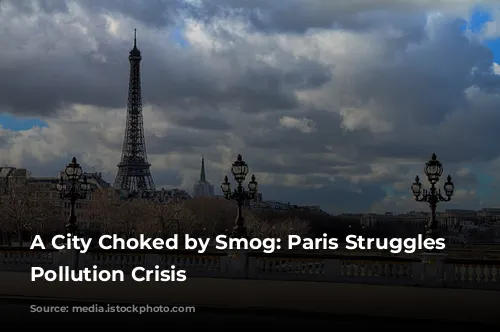 A City Choked by Smog: Paris Struggles with Pollution Crisis