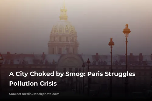 A City Choked by Smog: Paris Struggles with Pollution Crisis