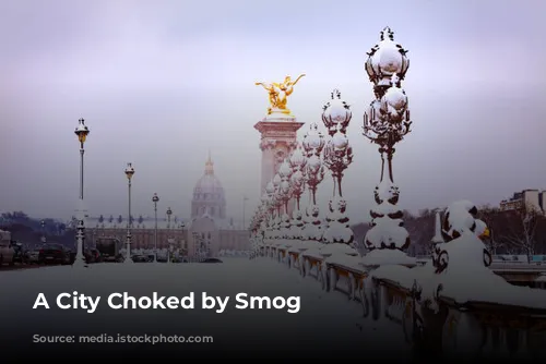 A City Choked by Smog