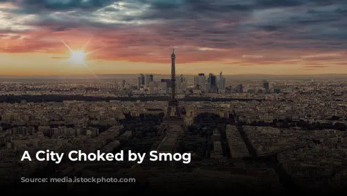 A City Choked by Smog