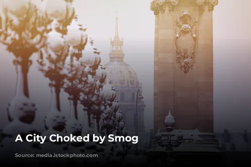 A City Choked by Smog