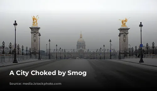 A City Choked by Smog