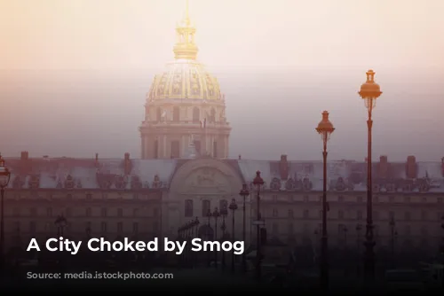 A City Choked by Smog