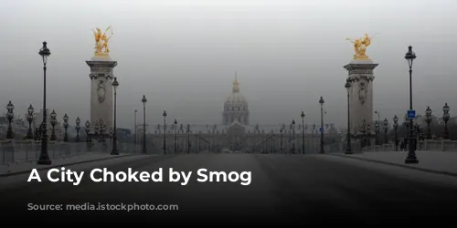 A City Choked by Smog