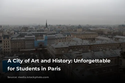 A City of Art and History: Unforgettable Museums for Students in Paris