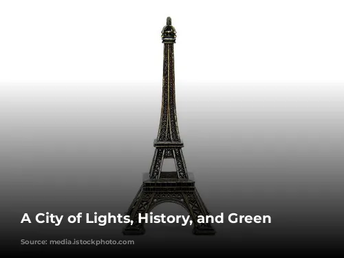 A City of Lights, History, and Green Spaces