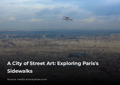 A City of Street Art: Exploring Paris's Artistic Sidewalks