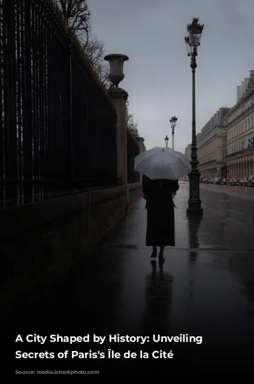 A City Shaped by History: Unveiling the Secrets of Paris's Île de la Cité