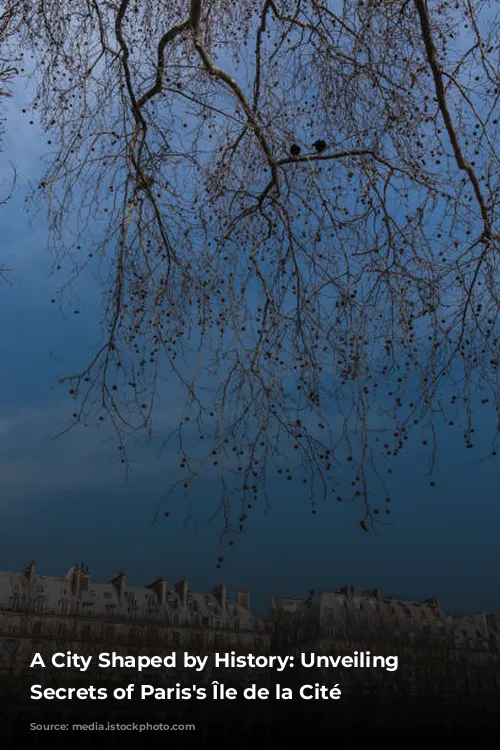 A City Shaped by History: Unveiling the Secrets of Paris's Île de la Cité