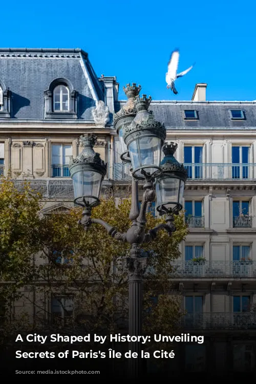 A City Shaped by History: Unveiling the Secrets of Paris's Île de la Cité