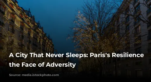 A City That Never Sleeps: Paris's Resilience in the Face of Adversity