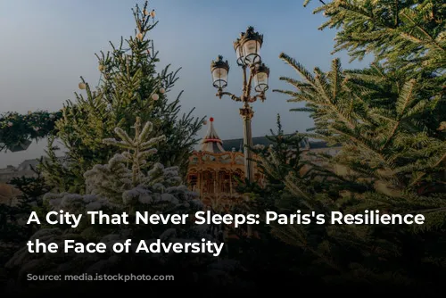 A City That Never Sleeps: Paris's Resilience in the Face of Adversity