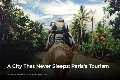 A City That Never Sleeps: Paris's Tourism Resilience