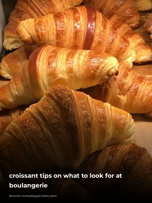 croissant tips on what to look for at a boulangerie 