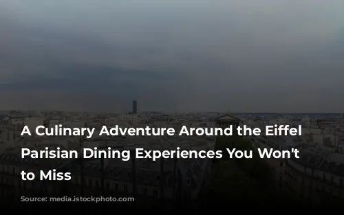 A Culinary Adventure Around the Eiffel Tower: Parisian Dining Experiences You Won't Want to Miss