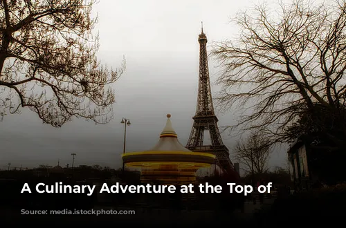 A Culinary Adventure at the Top of Paris