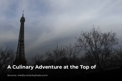 A Culinary Adventure at the Top of Paris