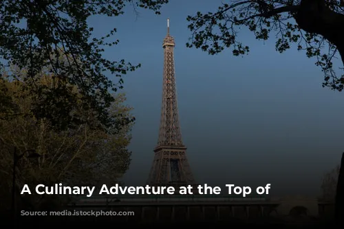 A Culinary Adventure at the Top of Paris