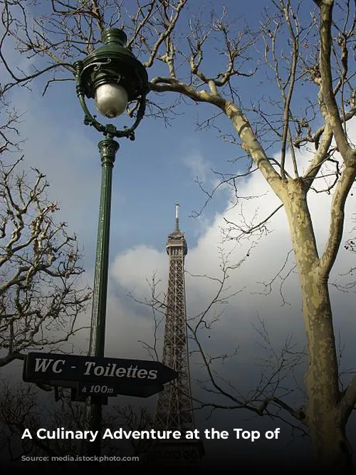 A Culinary Adventure at the Top of Paris