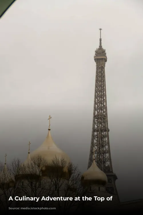 A Culinary Adventure at the Top of Paris