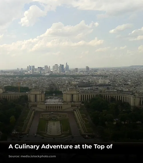 A Culinary Adventure at the Top of Paris