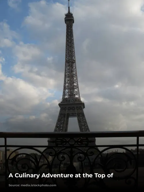 A Culinary Adventure at the Top of Paris