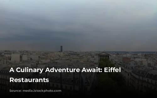 A Culinary Adventure Await: Eiffel Tower Restaurants