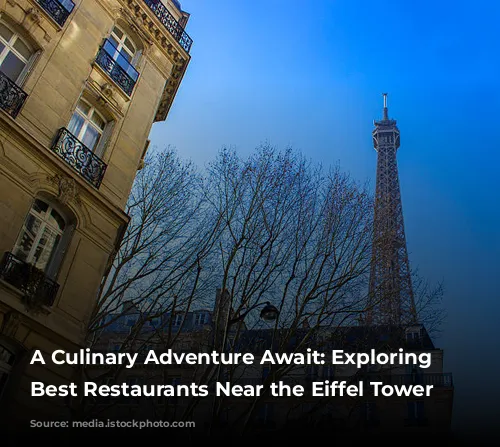 A Culinary Adventure Await: Exploring the Best Restaurants Near the Eiffel Tower