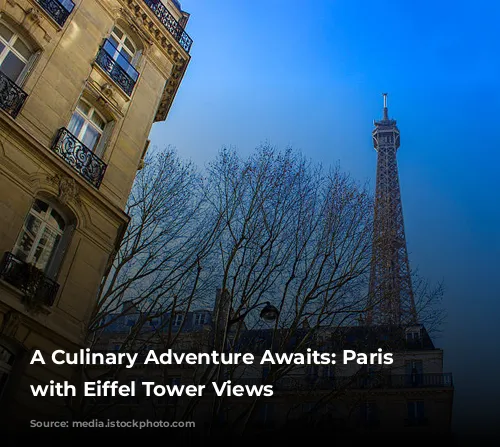 A Culinary Adventure Awaits: Paris Restaurants with Eiffel Tower Views