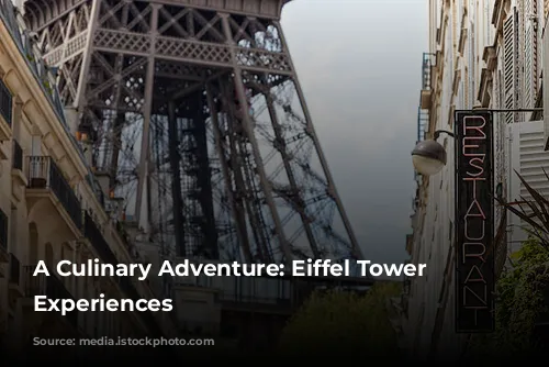 A Culinary Adventure: Eiffel Tower Dining Experiences