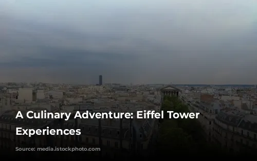 A Culinary Adventure: Eiffel Tower Dining Experiences