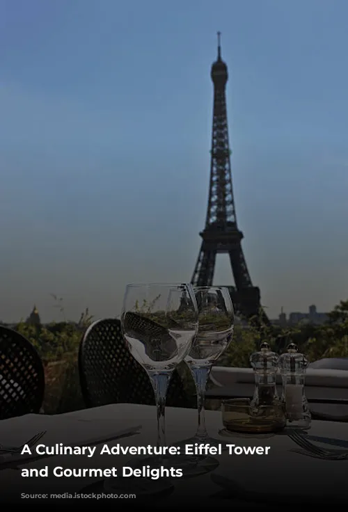 A Culinary Adventure: Eiffel Tower Views and Gourmet Delights