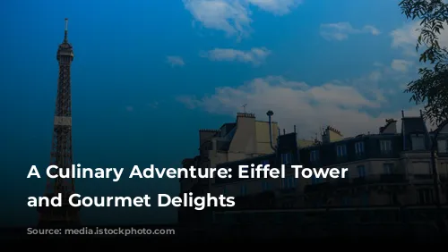 A Culinary Adventure: Eiffel Tower Views and Gourmet Delights