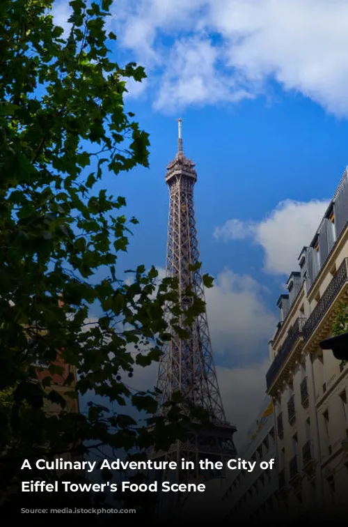 A Culinary Adventure in the City of Lights: Eiffel Tower's Food Scene