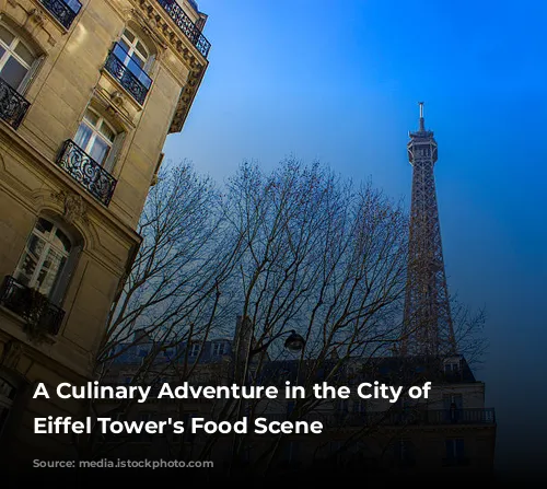 A Culinary Adventure in the City of Lights: Eiffel Tower's Food Scene