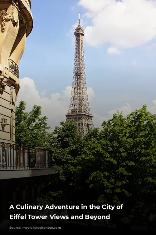 A Culinary Adventure in the City of Lights: Eiffel Tower Views and Beyond