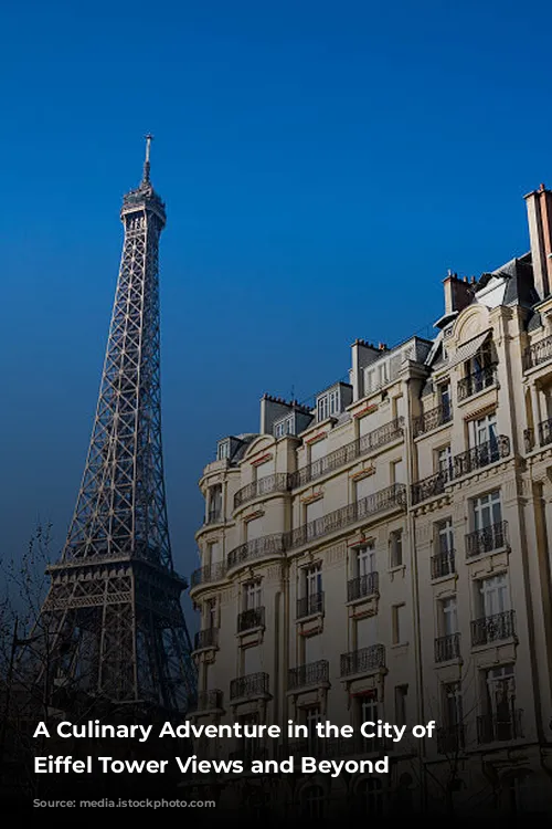 A Culinary Adventure in the City of Lights: Eiffel Tower Views and Beyond