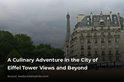 A Culinary Adventure in the City of Lights: Eiffel Tower Views and Beyond